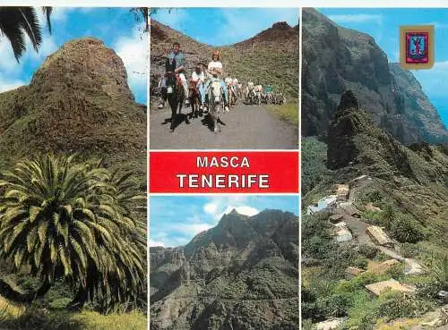 Spain Islas Canarias Tenerife Masca donkey ride