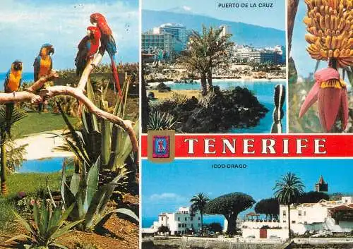 Spain Islas Canarias Tenerife map Puerto de la Cruz