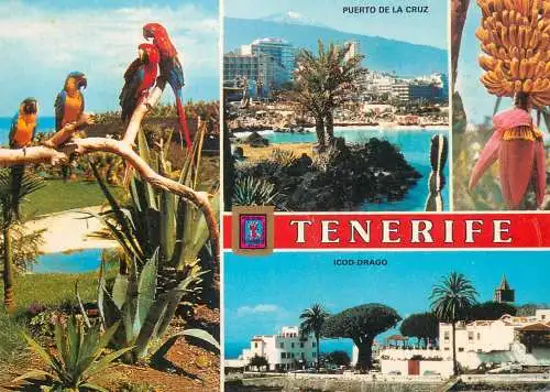 Spain Islas Canarias Tenerife map Puerto de la Cruz