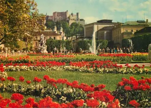 Austria Salzburg castle Mirabell garden flower