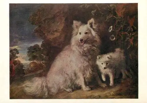 Pomeranian Bitch and Puppy - Thomas Gainsborough fine art postcard