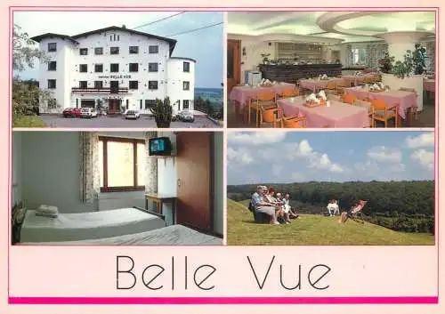 Postcard hotel restaurant institut Belle vue Eichenberg