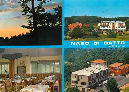 Postcard hotel restaurant Naso di Gatto