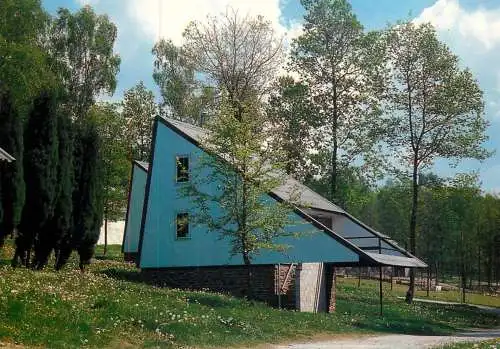 Postcard chalet Bois Jean Les Dolimarts