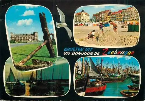 Belgium Groeten uit Zeebrugge multi view