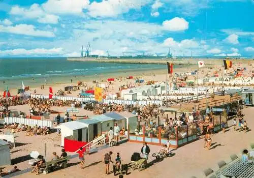 Belgium Zeebrugge beach littoral types and scenes