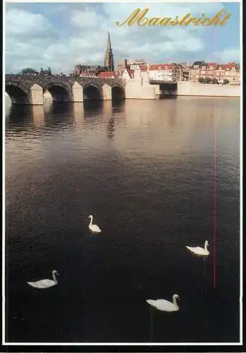 Netherlands Maastricht swan lake on the Maas