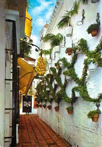Spain Marbella street