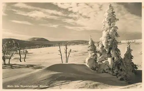 Sweden Skurdarlshojden Storlien winter scenery
