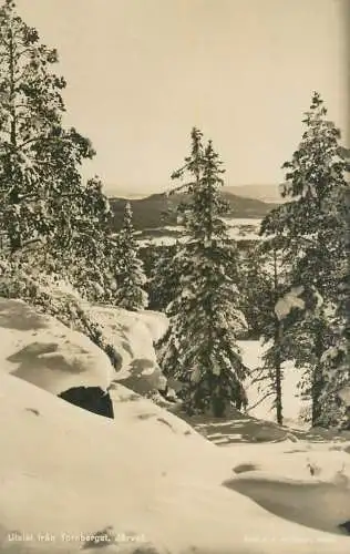 Sweden Jarvso Tornberget winter scenery