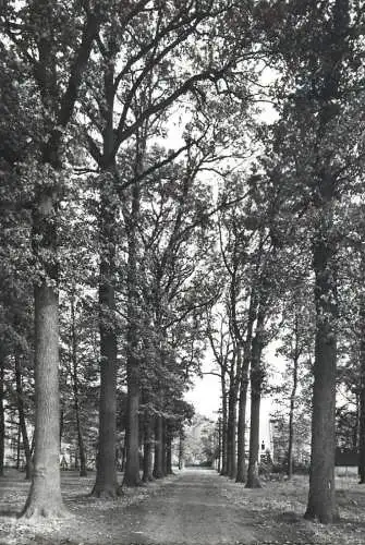 Antwerpen Ekeren Dreef Park