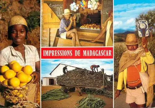 Impressions de Madagascar multi views postcard