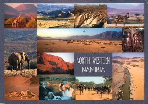 North-Western Namibia multi views postcard frog franking stamp