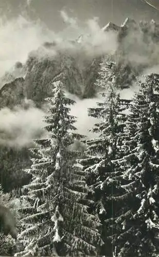 Romania Iarna pe masivul Bucegi