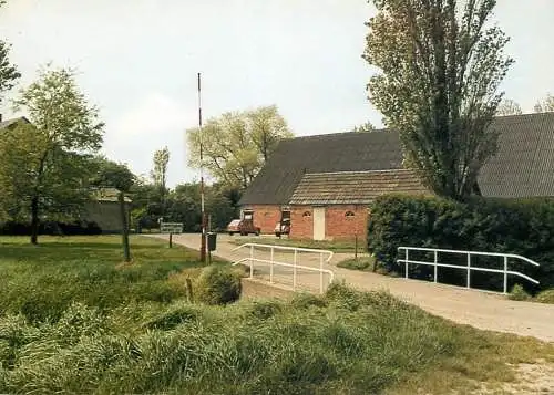 Postcard camping Mussennist Ossenisse