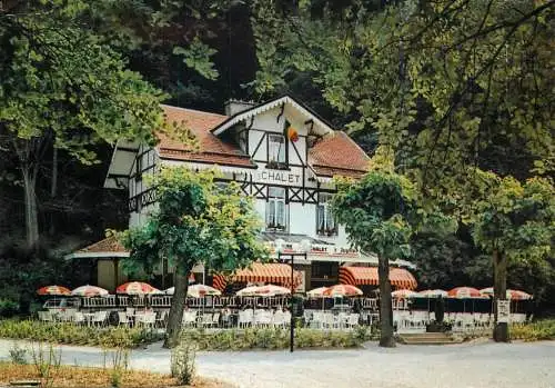 Postcard Hotel Chalet ou parc