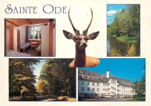 Postcard Hotel Sainte Ode stag