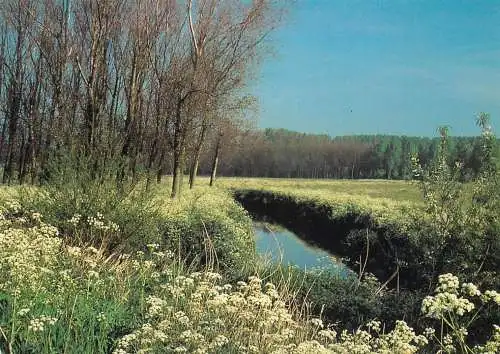 Waasmunster scenic postcard