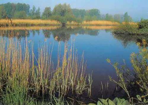 Waasmunster Durme Landschappen