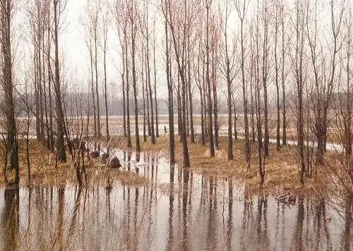 Waasmunster Durme Landschaft