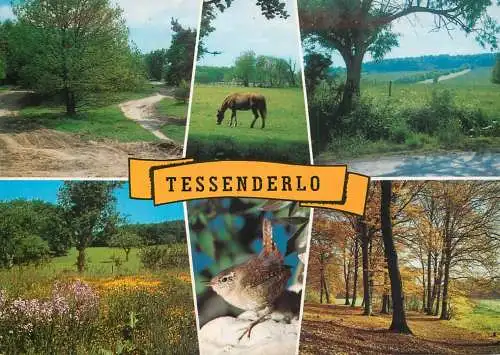A3641 Tessenderlo views postcard