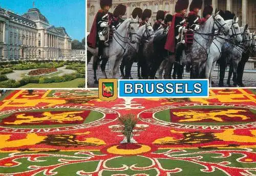Greetings from Brussels multi views postcard