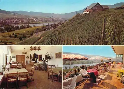 Postcard Hotel pension cafe Weinhaus Molitor