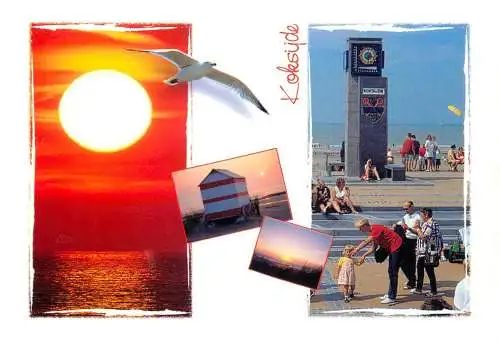 Belgium Koksijde - Coxyde seagull clocktower