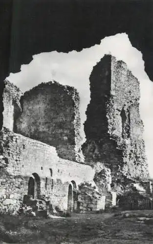 Romania Targu-Neamt ruinele cetatii Neamtului monument istoric sec XV