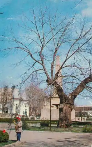 Romania Iasi Teiul lui Mihai Eminescu