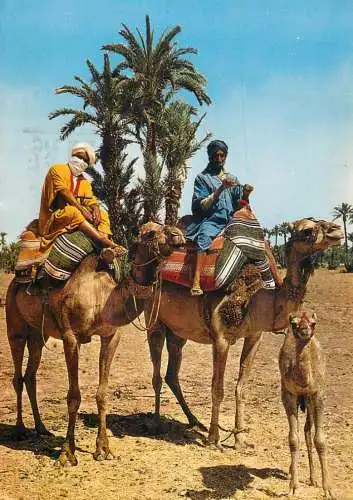 Morocco Meharistes ethnic types and scenes camel riders