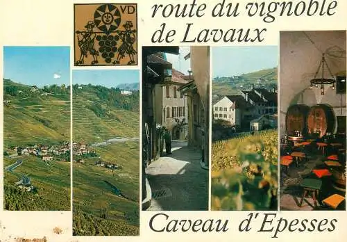 Switzerland Caveau de Vignerons d'Epesses Route du Vignoble de Lavaux multi view