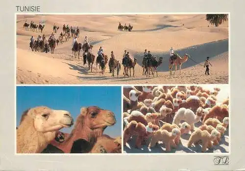Tunisia Caravanes multi view