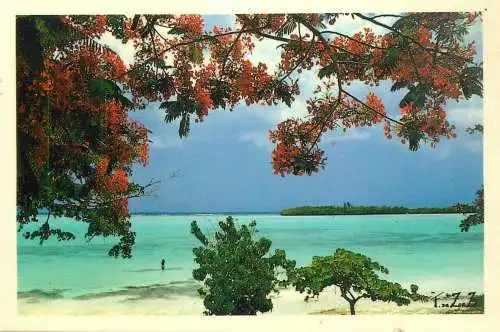 Dominican Republic Boca Chica tropical paradise