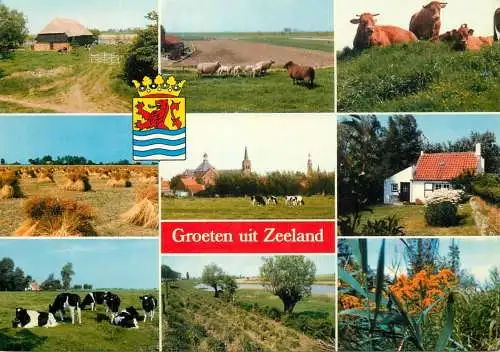 Netherlands Zeeland coat of arms cows