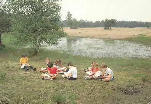 Belgium Kalmthout Domein Diesterweg playground