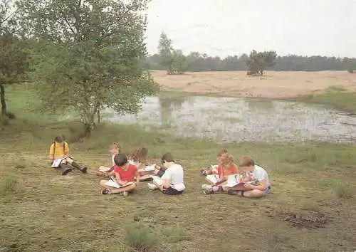 Belgium Kalmthout Domein Diesterweg playground