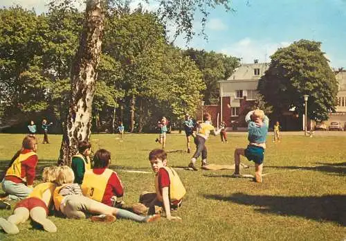 Belgium Kalmthout Domein Diesterweg playground