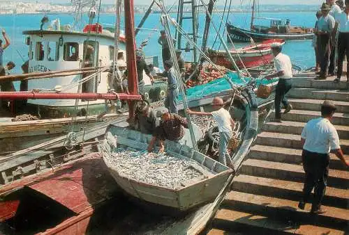 Portugal Algarve harbour scenery fishing boats arrival
