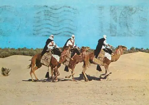 Tunisia Sud Tunisien Meharis types et scenes hommes chevauchant des chameaux