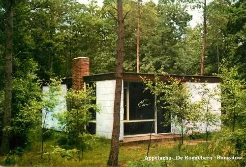 Postcard hotel restaurant Appelscha de Roggeberg bungalow
