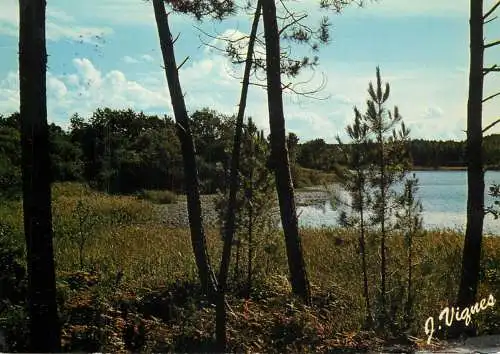 France Visage des Landes - l'etang