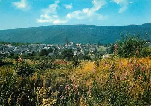 Postcard Belgium Herbeumont sur Semois panorama