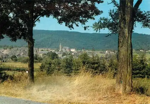 Postcard Belgium Herbeumont panorama