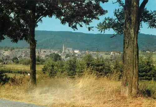 Postcard Belgium Herbeumont sur Semois panorama
