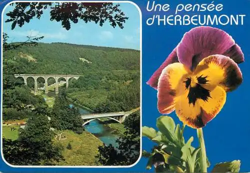 Postcard Belgium Herbeumont city signbridges and flower