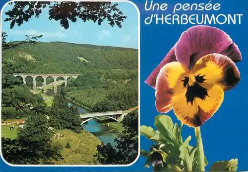 Postcard Belgium Herbeumont city signbridges and flower