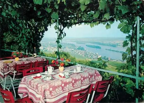Postcard hotel restaurants Cafe Rebenhaus Rudesheim am Rhein