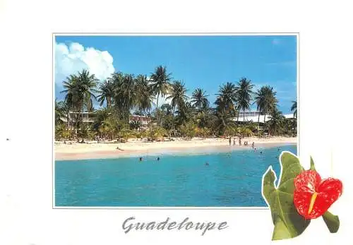 France Guadeloupe Plage de Ste Anne