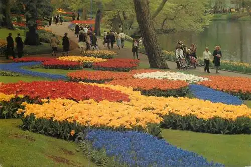Greetings from Holand Netherlands tulip field